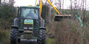 Nominate your Devon hedge for award