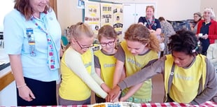 Brownies celebrate 100 years 