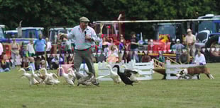 Christow Show in the heart of the Teign Valley
