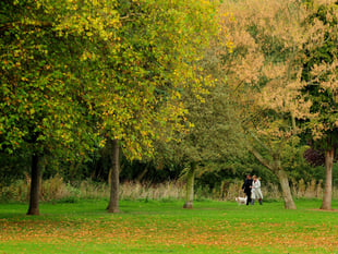 Access to green space in Teignbridge lower than South West average
