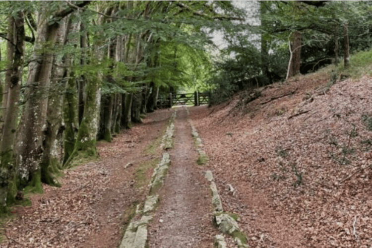 A section of the Templer Way at Stover
