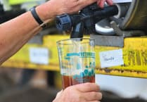 Abbfest returns this week