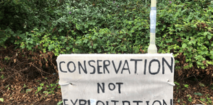 Plan to build on copse sparks raft of objections 