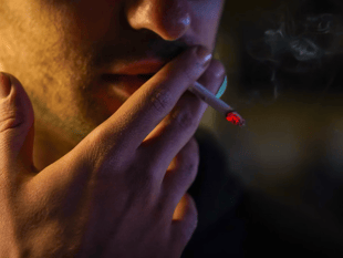  Director of public health welcome Tobacco and Vapes Act becoming law 
