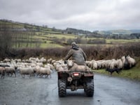 Police issue Quad Bike Theft advice
