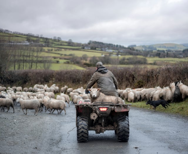 Police issue Quad Bike Theft advice
