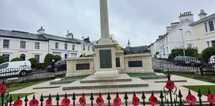 Remembrance Day to be live streamed by town council