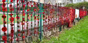 Appeal for Hand-Knitted Poppies