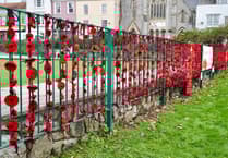 Join Dawlish's Poppy Tribute Effort This November!