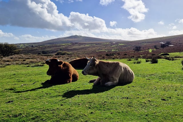 Second homes add to pressure on councils