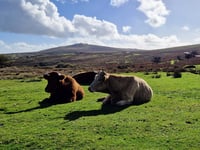 Second homes add to pressure on councils