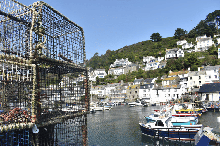 Polperro Harbour