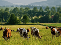 County council set to demand ‘family farm tax’ is withdrawn