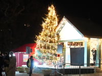Dawlish Christmas lights switch on cancelled