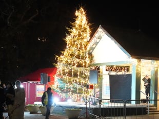Dawlish Christmas lights switch on cancelled