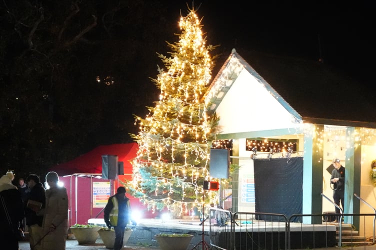 Shining glory - Dawlish's Christmas Tree lights the night. Photo: Bob Simpson