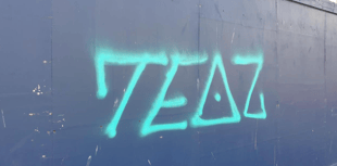 Appeal for witnesses following spate of graffiti