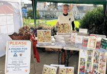 Dawlish hairdresser Chrissy launches '12 Days of Christmas' fundraiser