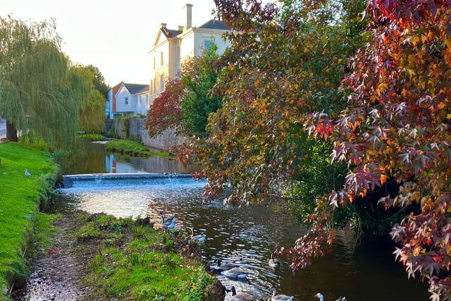 Work starts on restoration of Dawlish Brook  