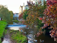 Work starts on restoration of Dawlish Brook  