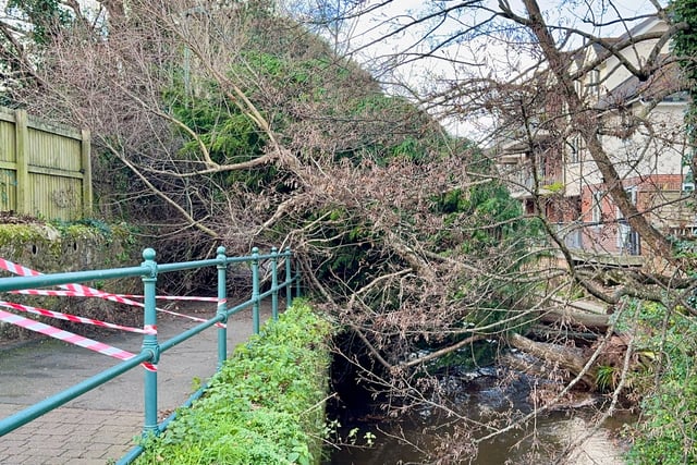 Storm Darragh affects south Devon 
