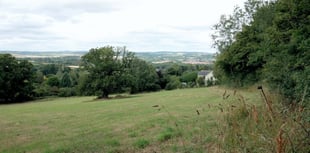 Homes scheme beaten by bats