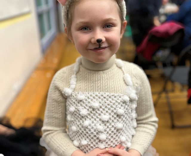 School Christmas celebrations raise cash for hospice