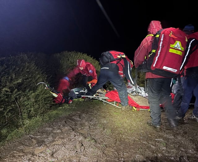 Rescuers record second busiest year