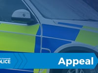 Police appeal following fight