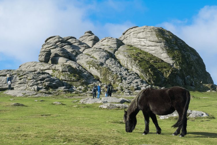 Dartmoor stock image