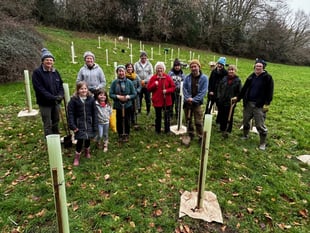 Trees planted to help planet