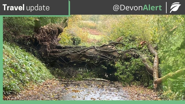Devon Alert Eowyn