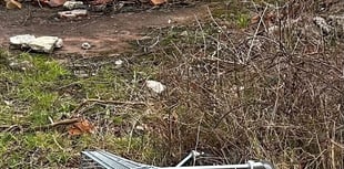 Bid to clear town of rogue shopping trolleys
