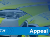 Police appeal after three hurt in crash 