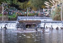 New Dawlish Brook lighting scheme agreed