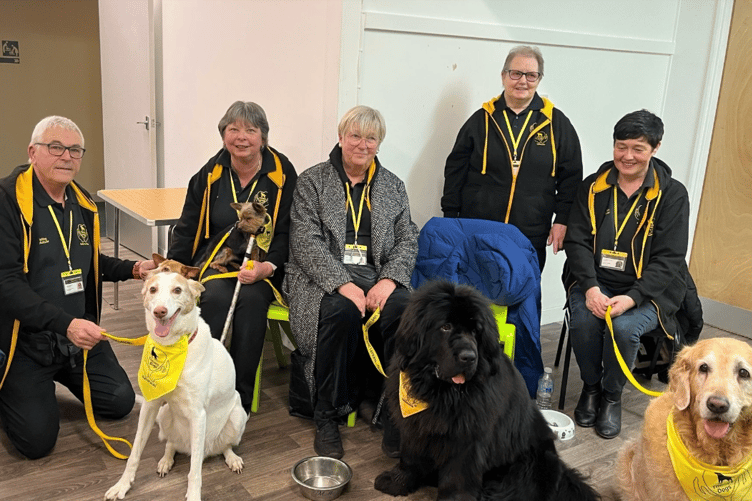 Therapy Dogs Nationwide paid a visit to the ladies of Newton Abbot WI at their February meeting