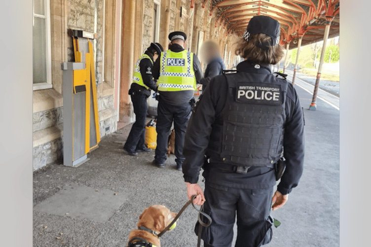 Six grams of ecstasy, five grams of cannabis and one gram of ketamine were seized by Devon and Cornwall Police after positive indications from Polly.