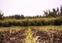 Soil pollution incidents double, Environment Agency says