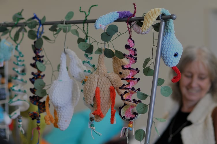 Newton Abbot Youth Council Art and Craft Fayre at the Courtenay Centre. 