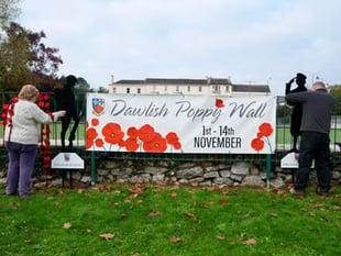 Great Wall of Poppies is back in Dawlish 