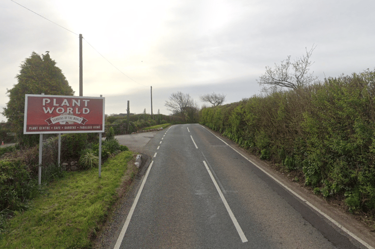 The collision happened near Plant World Nursery and Gardens