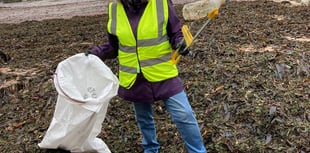 Anti-plastic volunteer helps research project 