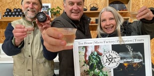 Taste of success for tea plantation