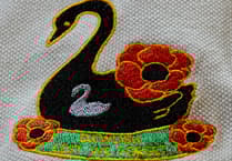 Navy Veteran's £3,600 Poppy Appeal success