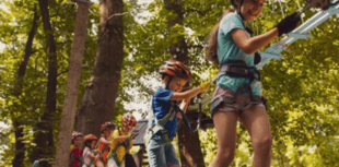 New system to ease activity bookings 