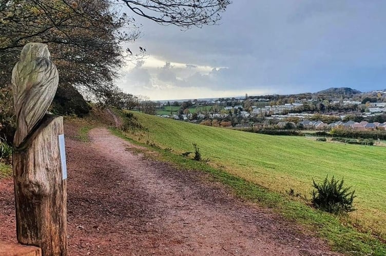 Dawlish Countryside Park. Photo Teignbridge Council 