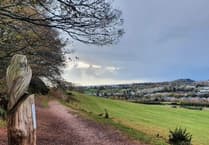 New parks ease pressure on wildlife havens