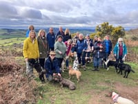 Devon Loves Dogs national recognition