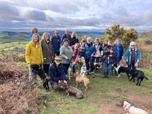 Devon Loves Dogs national recognition