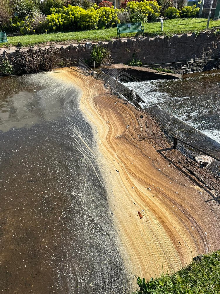 Dawlish Brook. photo Maidan Larisa